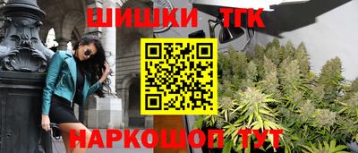 шишки Кингисепп