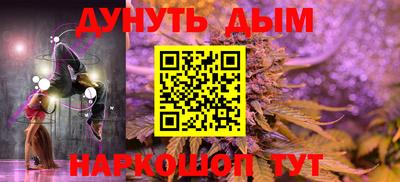 шишки Кингисепп