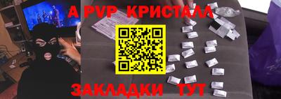 шишки Кингисепп