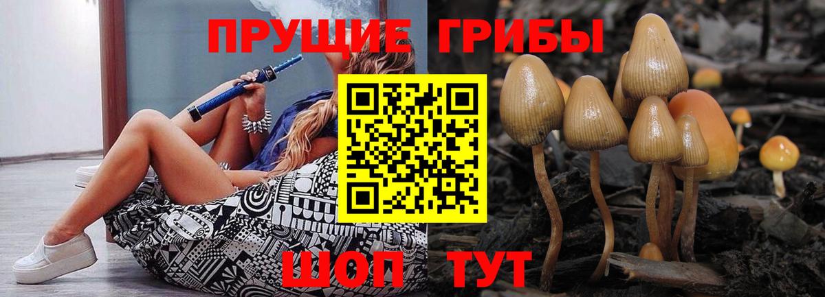 Кувандык  Галлюциногенные грибы Cubensis  Вход с VPN 